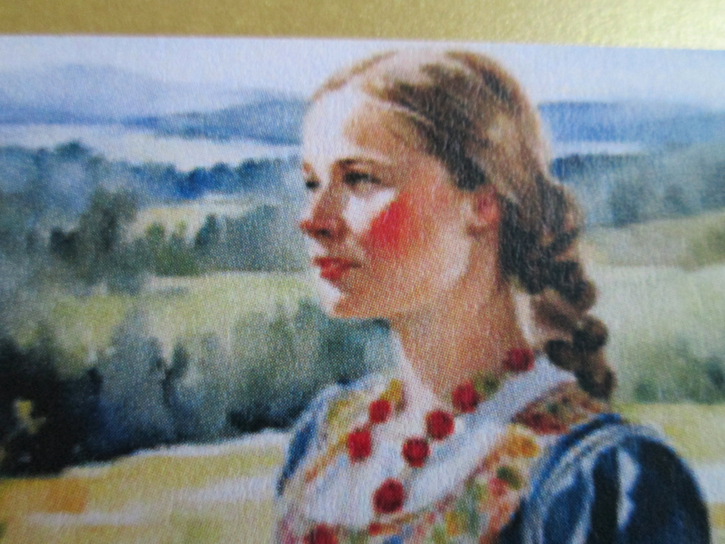 Ukrainian Girl In National Dress Greeting Card