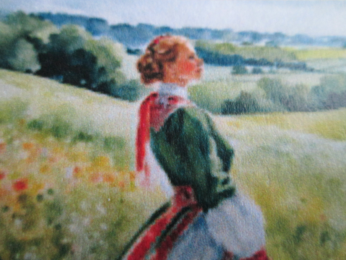 Danish Girl In National Dress Greeting Card